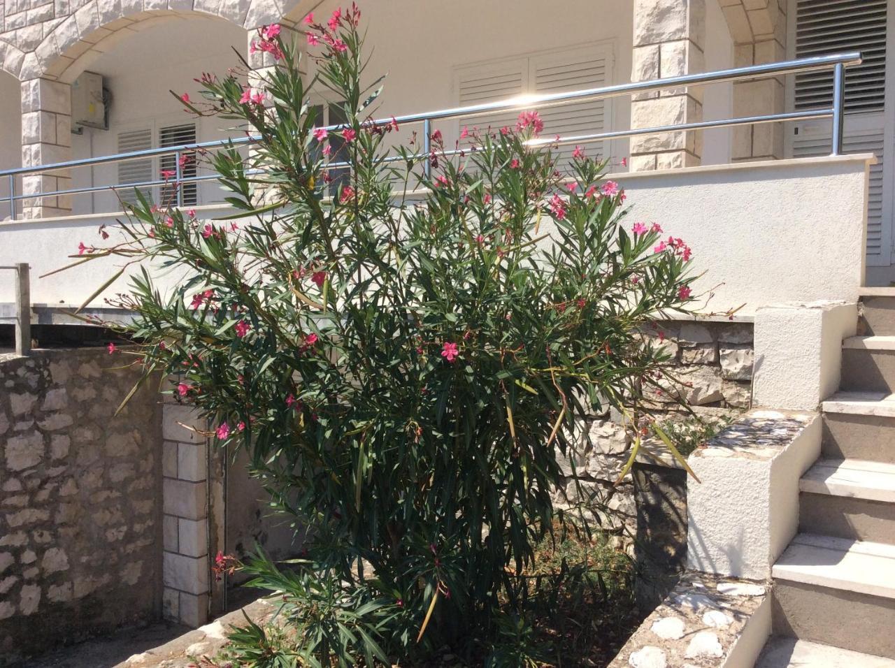 Lux Apartments Korcula Town Exterior foto